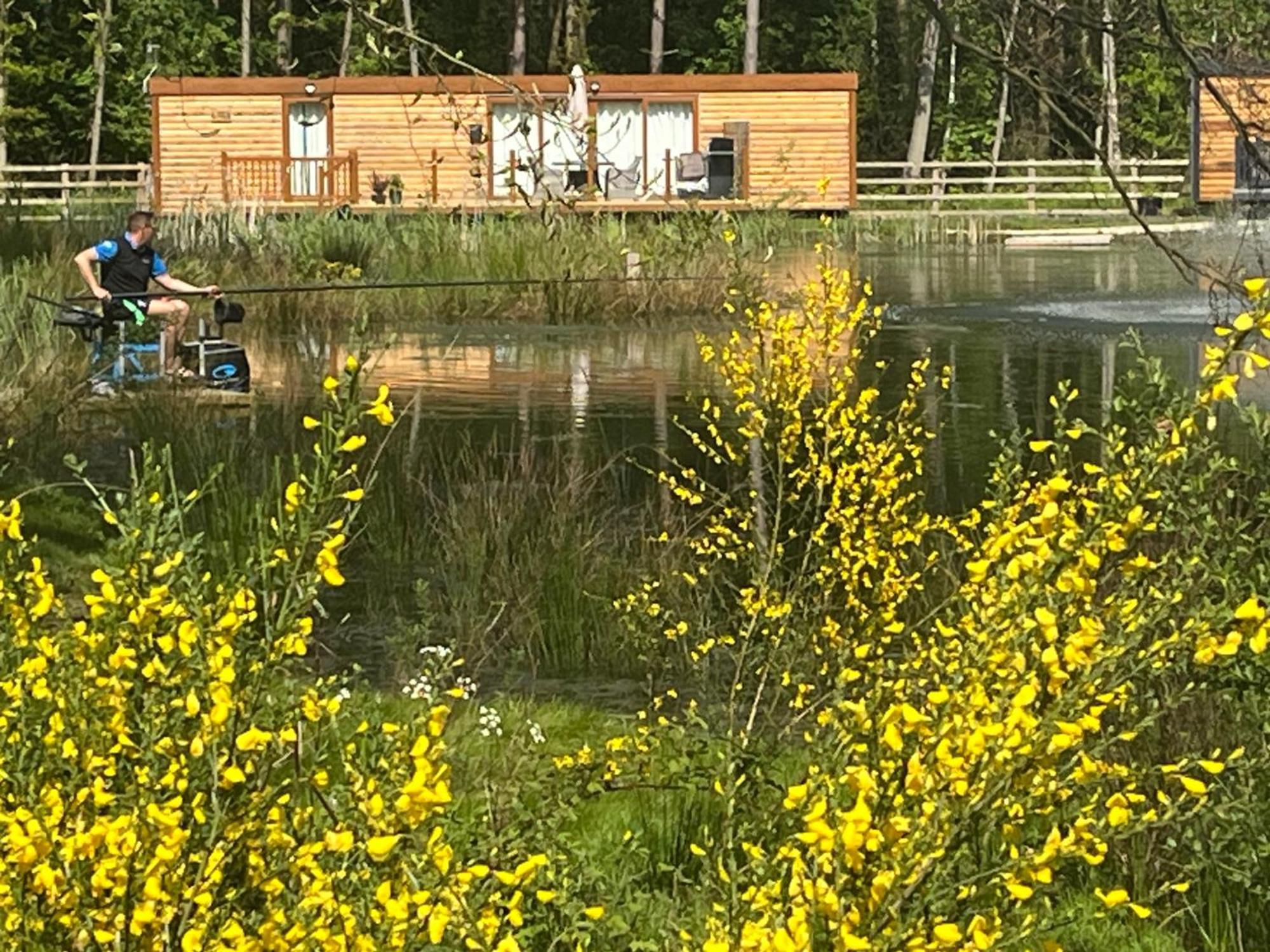 Oak Boutique Lodge Includes Hot Tub Air Con & Dog York Kültér fotó